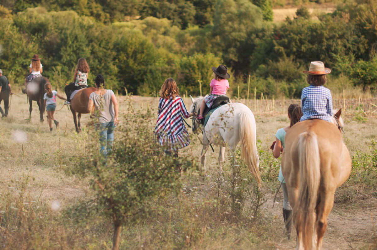 Develop your social skills with horseback riding